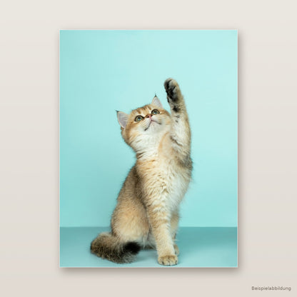 Personalisiertes Tierposter mit deinem Foto (ohne Rahmen)