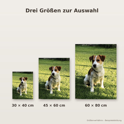 Personalisiertes Tierposter mit deinem Foto (ohne Rahmen)
