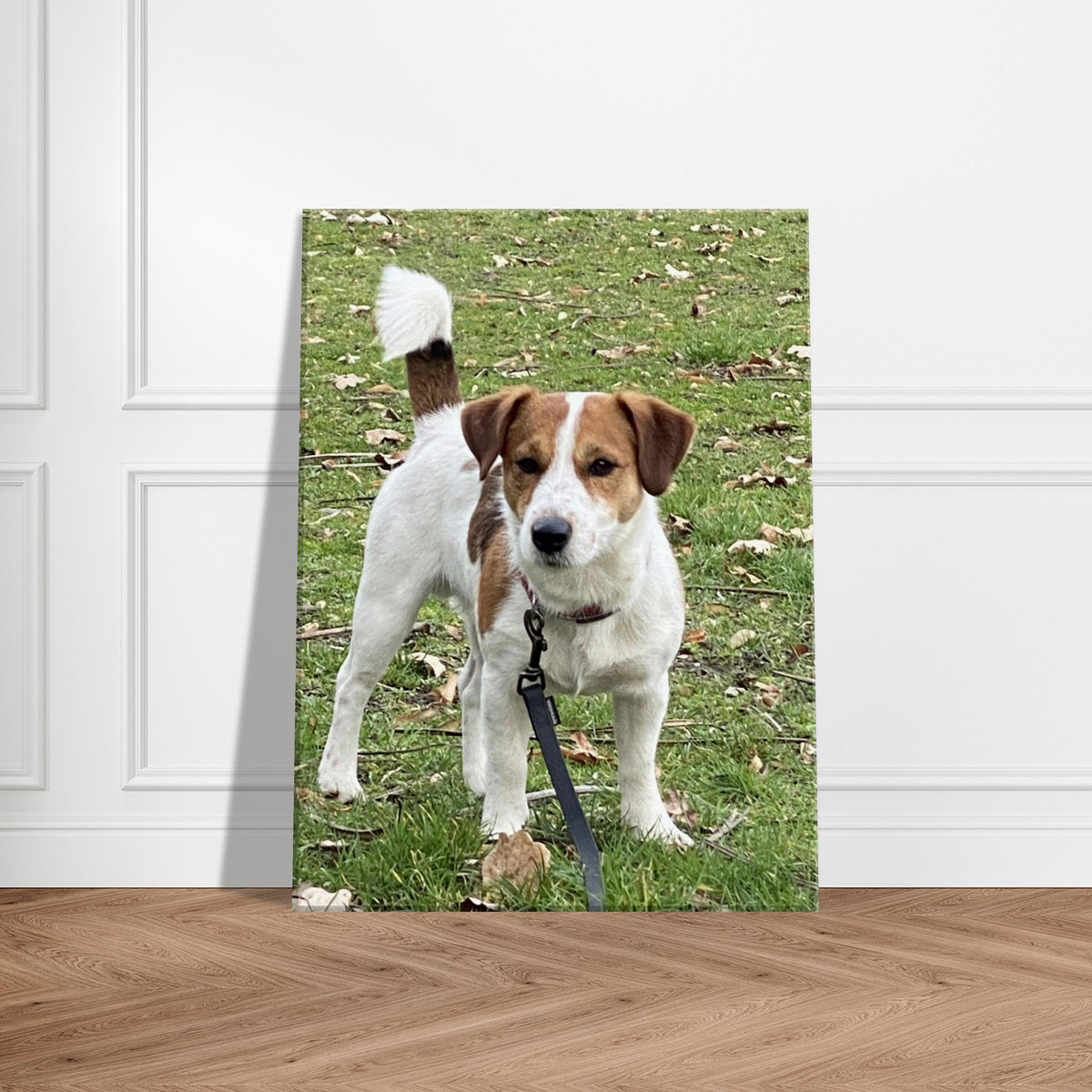 Personalisierte Tierleinwand mit deinem Foto