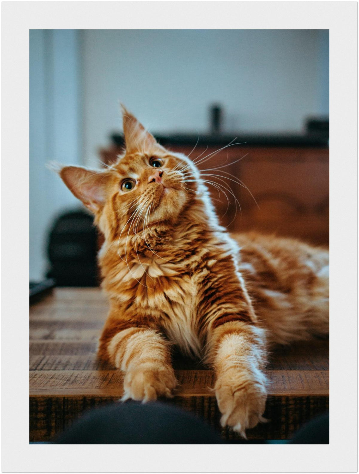 Personalisiertes Tierposter mit Rahmen