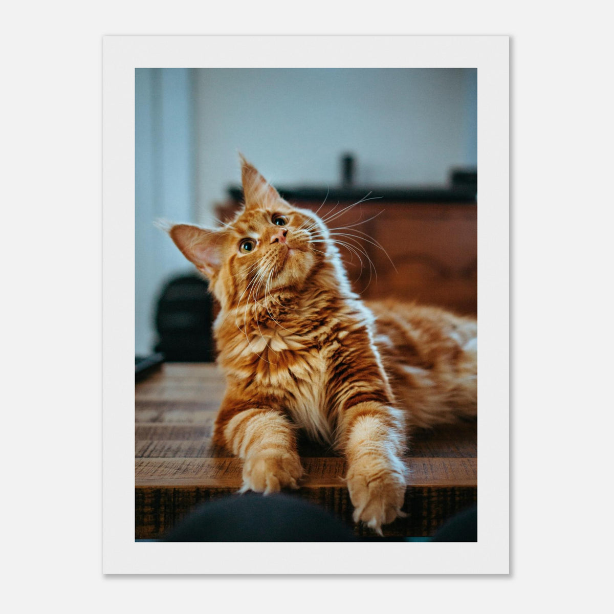 Personalisiertes Tierposter mit Rahmen